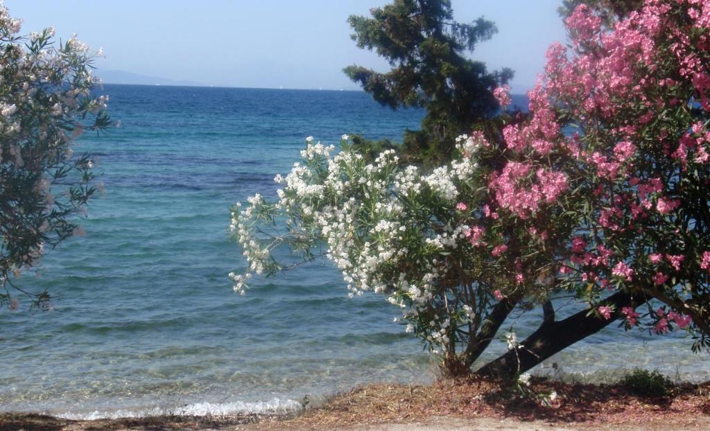 Aliki Studios Mpoukaris Bagian luar foto